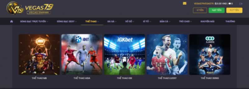 Hướng dẫn đầy đủ về Chương trình VIP 9Vnd: Tối đa hóa lợi ích của bạn - 9Vnd