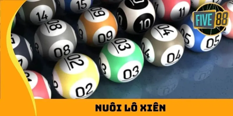 Soc88 là một công viên giải trí với nhiều loại hình trò chơi khác nhau - Soc88