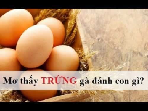 Ee88 có phải là một trang web chơi game hợp pháp không? - Ee88