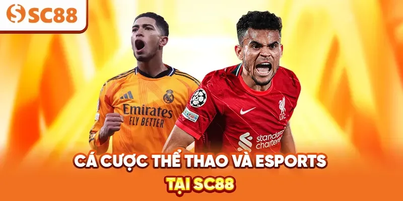 Làm thế nào để đăng nhập vào K88, đăng ký và tham gia các cuộc thi đá gà trực tiếp trên SVV388? - K88