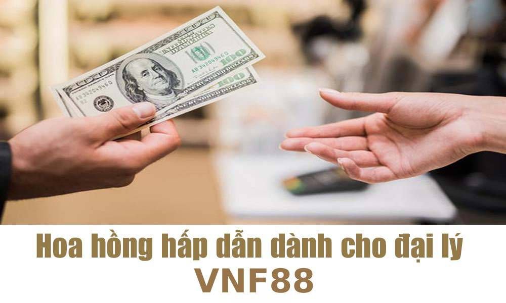 Câu hỏi thường gặp – Những câu hỏi phổ biến của người chơi về Kubet77 - Kubet77