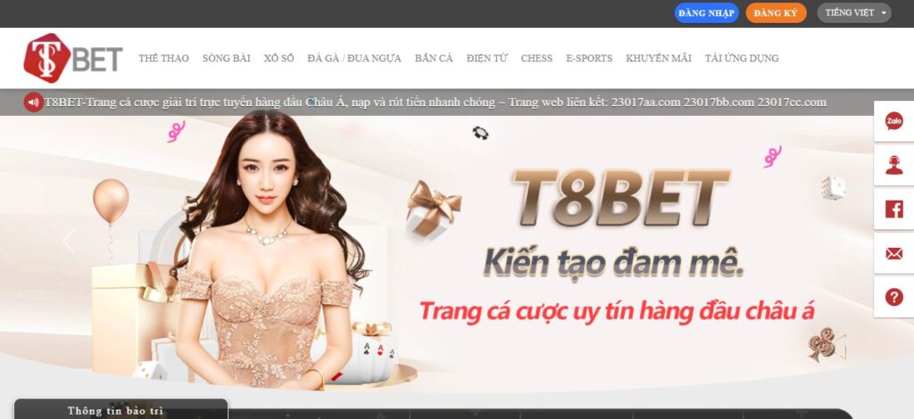 Ý nghĩa của giấc mơ về cây đàn guitar - Giải thích của Vbo99 - Vbo99