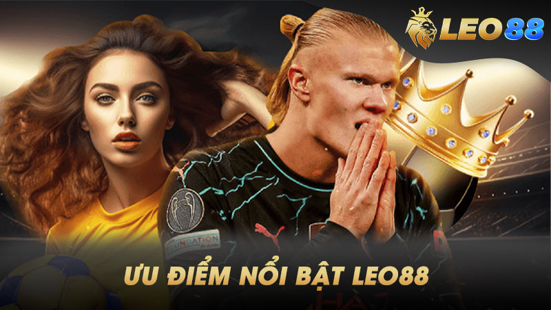 Công ty game cấp Oppabet - Oppabet