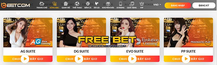 85Win đã chia sẻ những mẹo chiến thắng Xoc Dia từ các người chơi chuyên nghiệp - 85Win