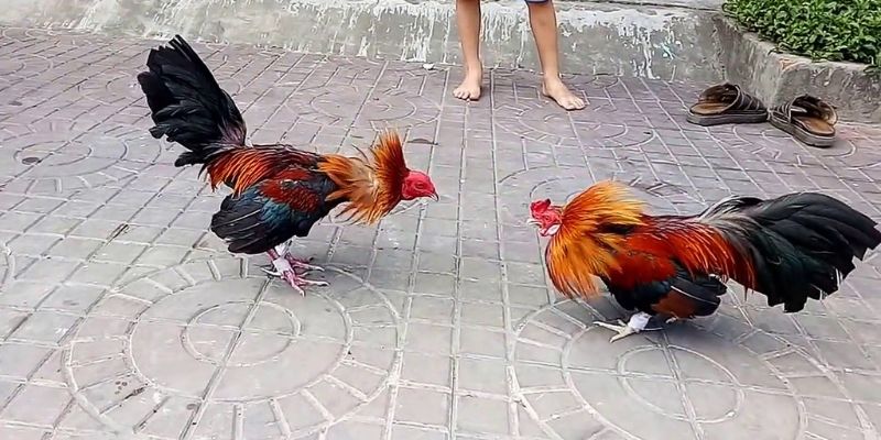 Trò chơi máy đánh bạc trực tuyến Mot88 LOT PG rất dễ thắng - Mot88