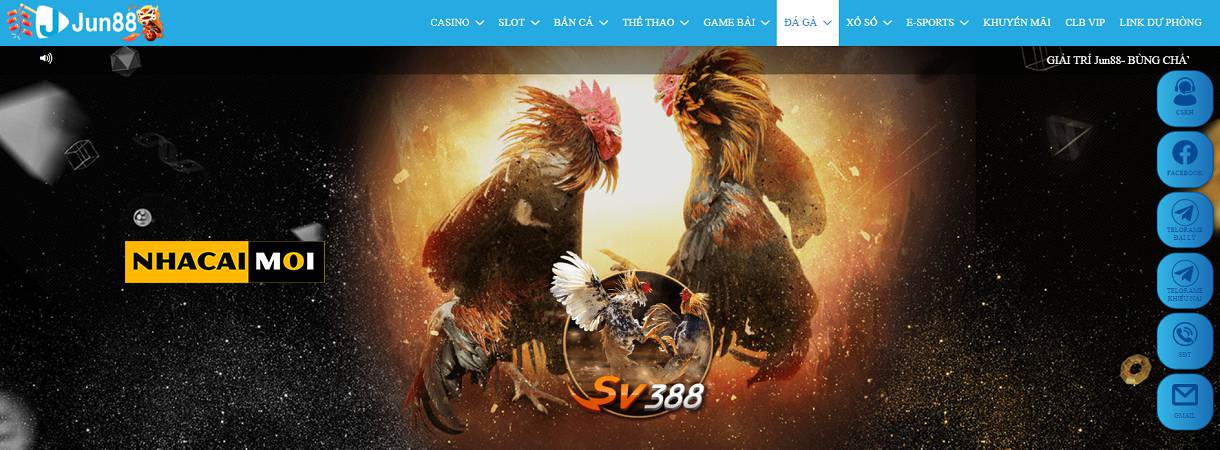 Tìm hiểu thêm về trang web của Hb88 - Hb88