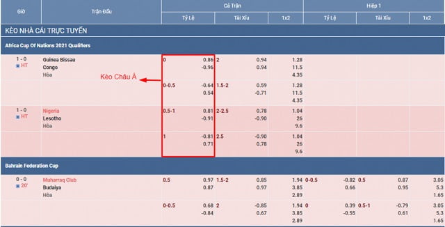 Những điều bạn cần biết khi đăng ký Stake - Stake