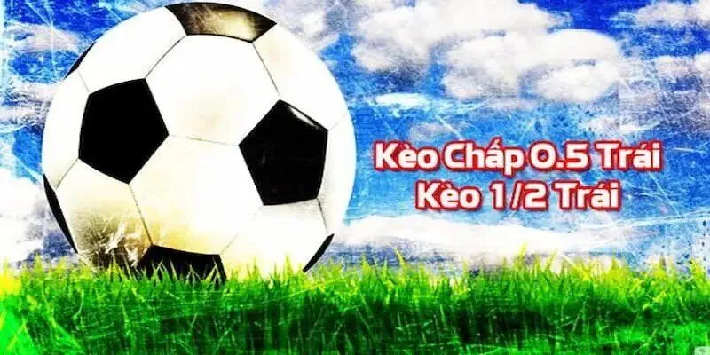 Các đại lý cấp 33King sẽ nhận được tài liệu tiếp thị - 33King