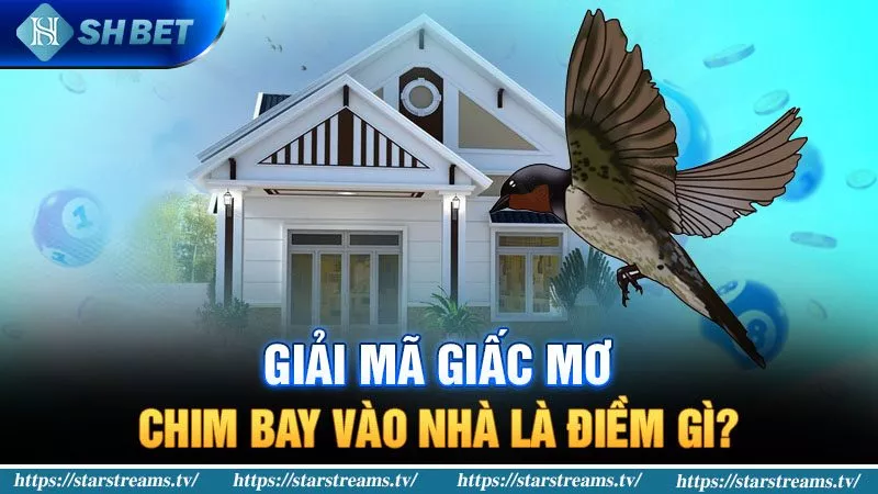 1Xbit là một trò lừa đảo sử dụng các chiêu trò quảng cáo - 1Xbit