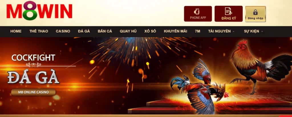 Bet999 có hoạt động tốt trên các điện thoại cấu hình thấp hoặc với kết nối mạng chậm không? - Bet999