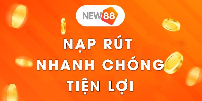 Ga6789 cung cấp những sản phẩm và dịch vụ nào cho người chơi? - Ga6789