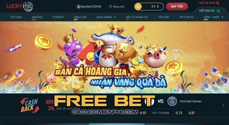 Đường dẫn chính thức của Ggwin ở đâu? - Ggwin