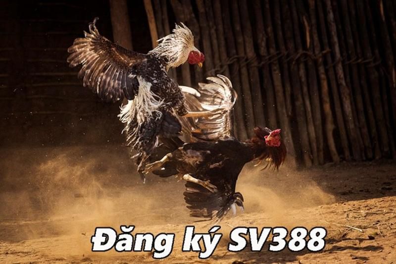 Liệu một nền tảng trò chơi bài trực tuyến được xếp hạng 23Win có uy tín và đáng chơi không? - 23Win