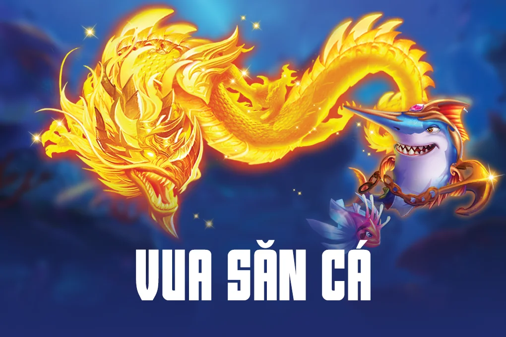 Betcom cung cấp nhiều lựa chọn cá cược vô cùng hấp dẫn - Betcom