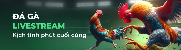 Đánh giá của khách hàng về các công viên giải trí hạng Rr88 - Rr88