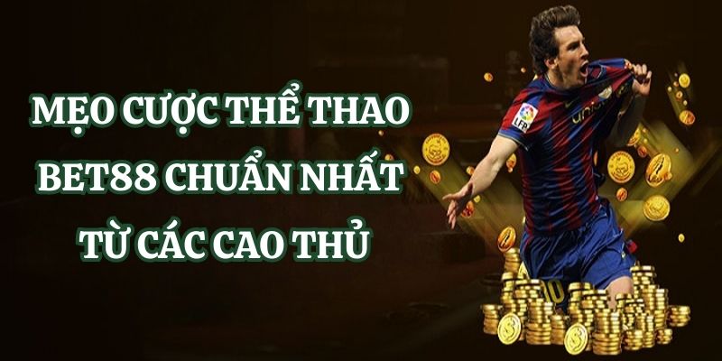 Zbet68 cung cấp những loại nội dung nào? - Zbet68